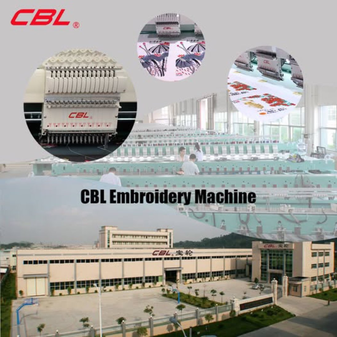 49346038_1998419576946239_3615451569387995136_n